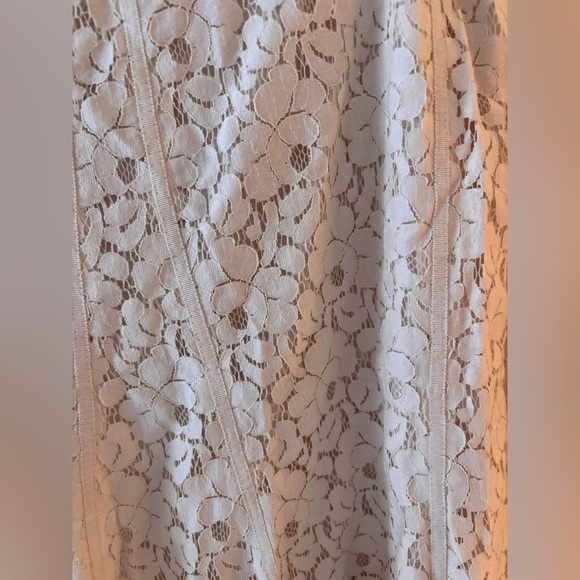 Tahari Lace Eyelet Knee Length Beige Cream Skirt 10 - Picture 2 of 10